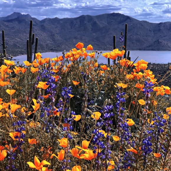 Meet your Posher Linda! - Picture 10 of 16